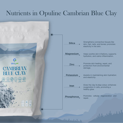 Cambrian Blue Clay for Healthy and Glowing Skin | 200 grams