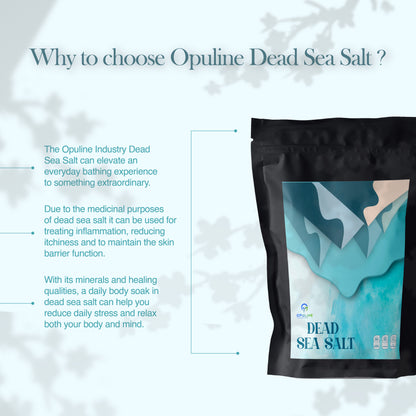 Dead Sea Salt for Bath Soak | 500 grams