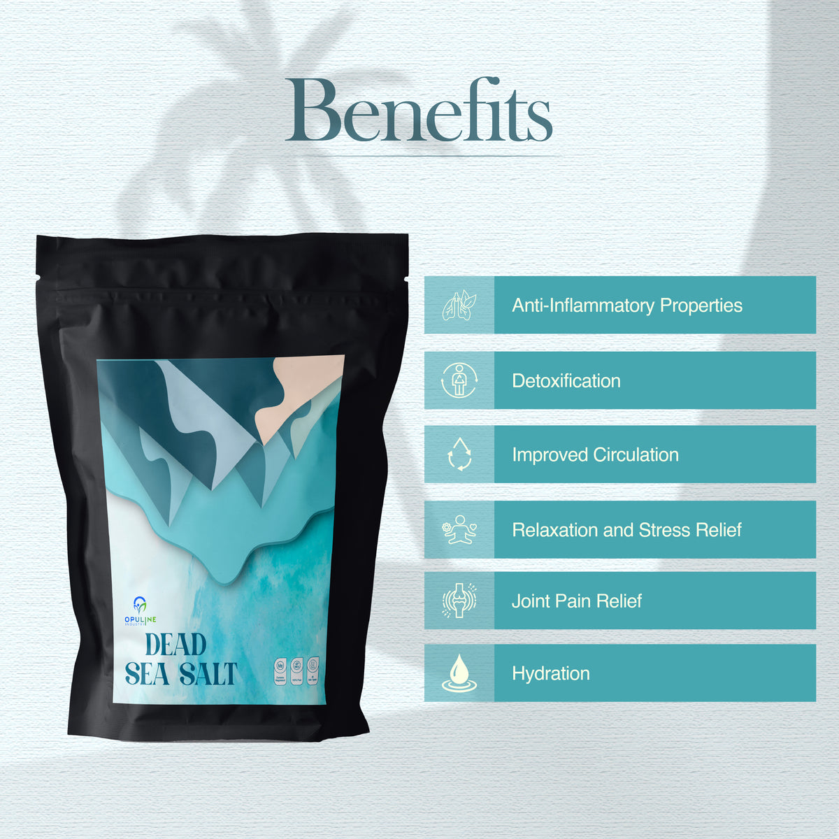 Dead Sea Salt for Bath Soak | 500 grams