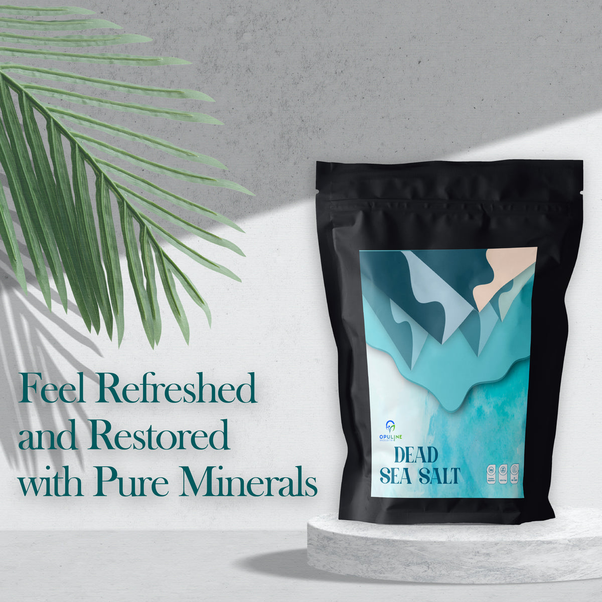 Dead Sea Salt for Bath Soak | 500 grams